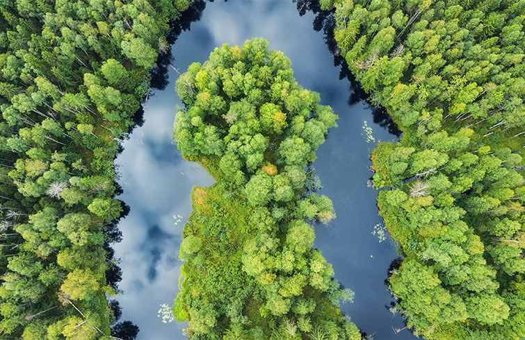 浙江松夏仪表有限公司